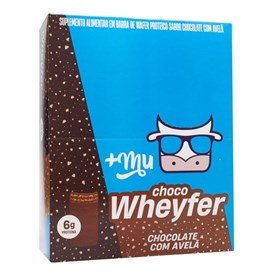 Choco Wheyfer Sabor Chocolate Com Avelã Display 12X25g +Mu